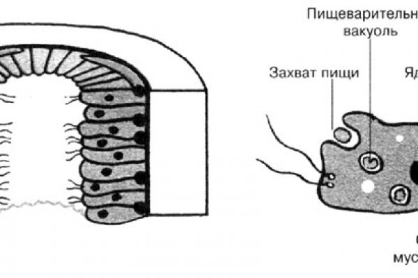 Кракен вход рабочий