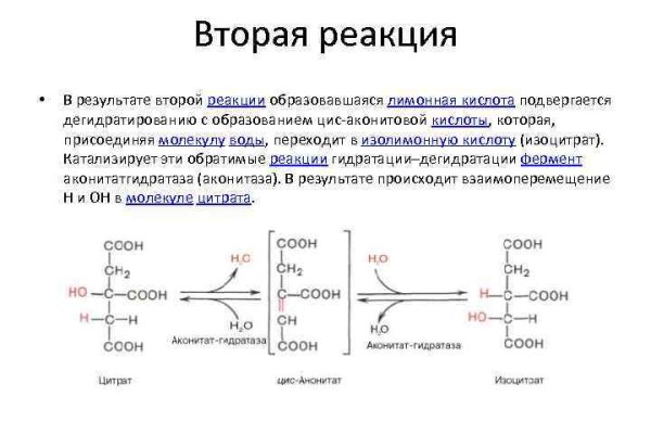 Кракен 20 at