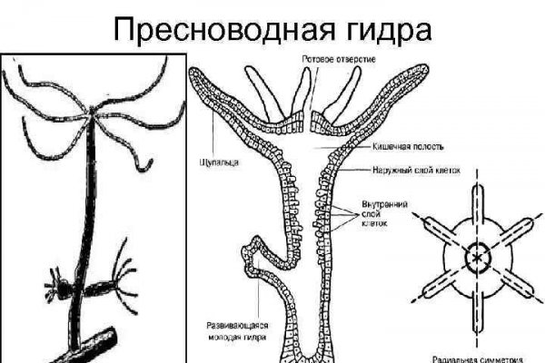 Кракен онион ссылки